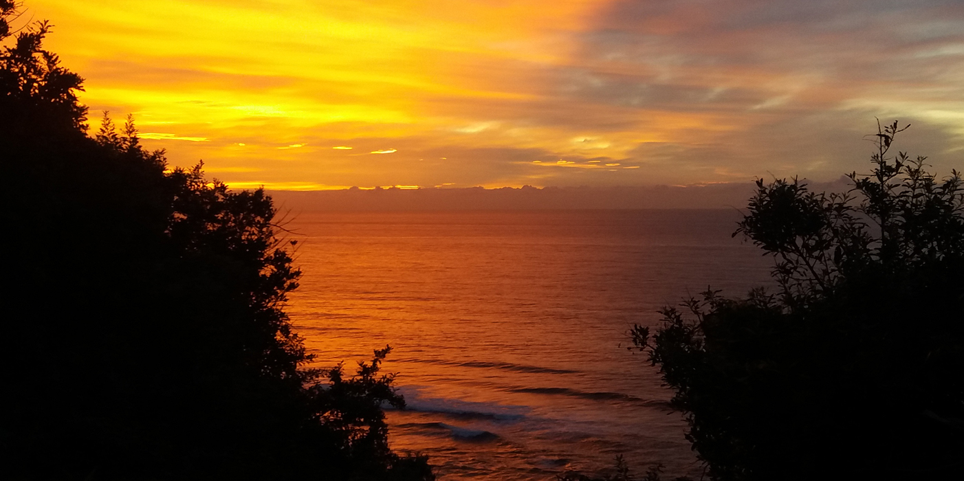 Where dreams are made